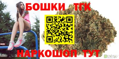 индика Ливны