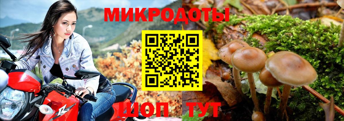 Псилоцибиновые грибы Cubensis Волжск