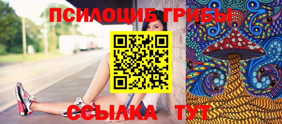 Волжск  Псилоцибиновые грибы прущие грибы  Вход с VPN 